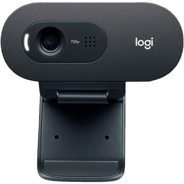 Imagen de WEBCAM LOGITECH C505 HD 2MP 960-001363